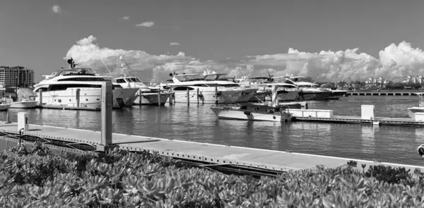 Yelkenli yat limanına demirlemiş. Yelkencilik ve yat turizmi. Lüks bir yaşam tarzı. Yaz tatilleri. Deniz limanında yat. Biscayne Körfezi 'ndeki yat marinasında lüks bir tekne..