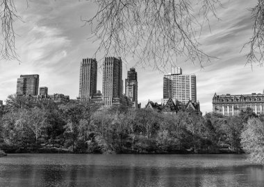 New York Central Park sonbahar manzarası. Doğa sonbahar manzarası. Central Park 'ta sonbahar sezonu. Sonbaharda ya da sonbahar mevsiminde mevsimlik şehir manzarası. Doğanın sonbahar güzelliği. Şehir parkında doğa. Parkta sonbahar manzarası.