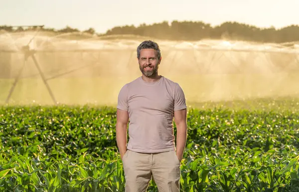 Ekin sulama. Tarım ve tarım. Sulama sisteminde tarımı sulayan bir adam. Çiftçi adam toprak nemini kontrol ediyor. Su püskürtme sulama tarlası. Damlatma sulama sistemi.