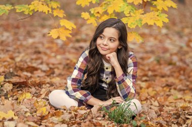 Sonbahar üniformalı kız güz yapraklarıyla dışarıda oturuyor. Okul tatilinde şık bir genç kız. Okula dönelim. Sonbahar yaprakları. Sonbahar parkındaki kız üniforması giyiyor. Gençler için sonbahar üniforması. Şık bir genç..