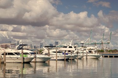Miami şehir marinası etkileyici bir yat ve teknesi var. Lauderdale Kanalı 'na demirlemiş lüks bir yat. Miami sahilinde lüks bir yat. Miami Beach, Florida 'daki Marina' da. Lüks Güney Sahili marinası. Güney Sahili.