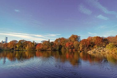 Central Park 'ta küçük bir gölde kayık. Sonbaharda Central Park Gölü 'nde insanların kürek çektiği bir yer. Central Park güneşli sonbahar gününde renk değiştiriyor. Sonbahar manzarası. Sonbahar doğası. NYC 'de kürek çekmek.