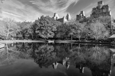 New York City, ABD - 20 Kasım 2023: Güzel şehir manzarası ve doğa ile sonbahar şehri manzarası. - New York. New York. Central Park