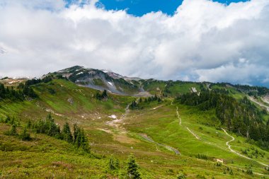 Kozalaklı orman ve yeşil yamaçlarla vahşi dağda nefes kesici bir yaz günü. Çayırlı dağ manzarası. Bulutlu gökyüzü ile dağlık bir manzara. Manzaralı yeşil tepe.