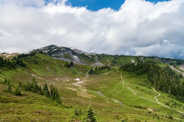 Kozalaklı orman ve yeşil yamaçlarla vahşi dağda nefes kesici bir yaz günü. Çayırlı dağ manzarası. Bulutlu gökyüzü ile dağlık bir manzara. Manzaralı yeşil tepe.