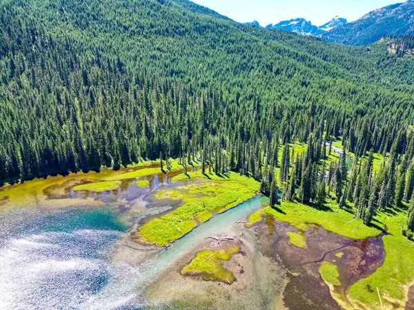 Cooper Gölü 'nün popüler doğa yürüyüşü. Cooper gölü ve dağ manzarası. Cooper Gölü 'nün dağ ve orman manzarası. Doğa manzarası. Washington 'daki Cooper Gölü. Ferahlatıcı esinti.