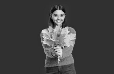 Sonbahar tarzı akçaağaç yapraklı bir kız. Sonbahar modası. Sonbahar sezonu. Sonbahar yaprakları ve kırmızıda izole edilmiş mutlu genç kız. Genç kız sonbahar akçaağaç yaprağını tutuyor. Düşen yapraklar. Canlı renkler.