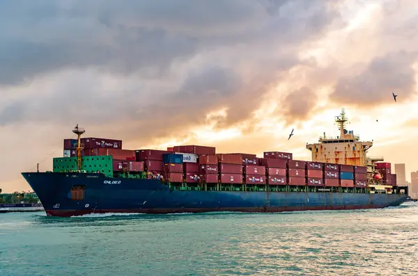 Miami, Florida, ABD - 16 Aralık 2024: konteyner gemisi. Yük Chloe D Monrovia gemisi, konteynır, insansız hava aracı görüşlü. Kargo gemisinde nakliye konteynırı. Kargo gemisi. Gün batımında Miami Limanı.