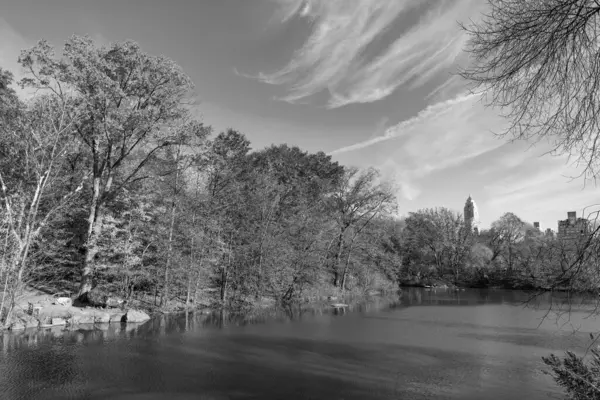 Sonbahar sezonu. Sonbahar havuzu. Şehir parkında doğa. Park 'ta sonbahar gölü. Sonbahar manzarası. Doğa sonbahar manzarası. Manzaralı parkta sonbahar sezonu. Sonbaharda sezonluk resimli sahneler. Panoramik görünüm.