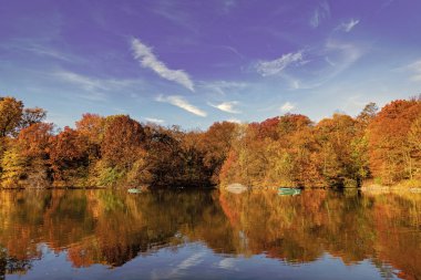 Sonbahar doğa manzarası. Central Park 'ta sonbahar doğası. Mevsimlik sonbahar manzarası. Sonbahar göletine park teknesi, New York. Manzaralı düşüş. Sonbaharda Central Park 'ta. Sonbahar manzarası. Göletteki tekne. Sahne teknesi.