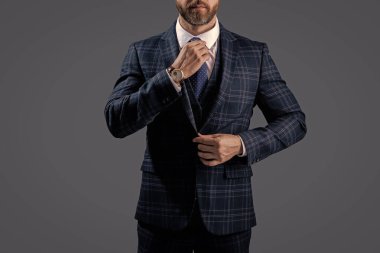 Resmi kıyafetli, şık takım elbiseli, gri, kırpık manzaralı bir adam..