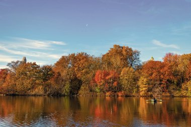 Central Park göletinde kürek çeken insanlar. Sonbaharda Central Park 'ta renkli devrilmiş ağaçlar. Sonbahar doğası. New York City Central Park 'ta gölde teknesi var. Sonbahar manzarası. Kayık kiralama.