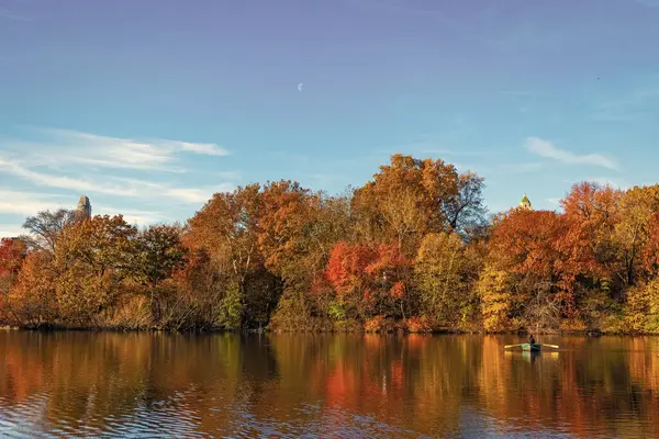 Central Park göletinde kürek çeken insanlar. Sonbaharda Central Park 'ta renkli devrilmiş ağaçlar. Sonbahar doğası. New York City Central Park 'ta gölde teknesi var. Sonbahar manzarası. Kayık kiralama.