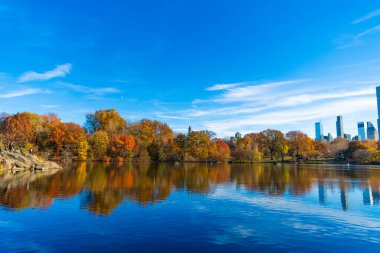 Manzaralı düşüş. Sonbaharda Central Park 'ta. Göletli sonbahar manzarası. Sonbahar doğa manzarası. Central Park 'ta sonbahar doğası. Mevsimlik sonbahar manzarası. Sonbahar ağacını ve göleti New York 'a park et. Kızıl yapraklar..