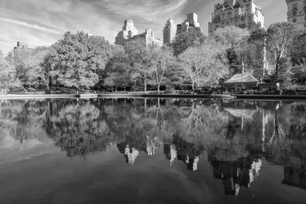New York City, ABD - 20 Kasım 2023: Sonbahar sezonunda Central Park 'ın sonbahar manzarası ve sonbahar sezonunda güzel şehir manzarası.