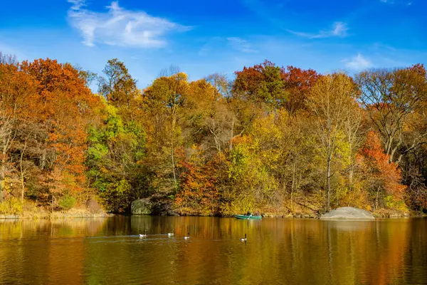 Sonbahar manzarası. Göletteki tekne. Sonbahar doğa manzarası. Central Park 'ta sonbahar doğası. Mevsimlik sonbahar manzarası. Sonbahar göletine park teknesi. Manzaralı düşüş. Sonbaharda Central Park 'ta. Central Park su yolu.
