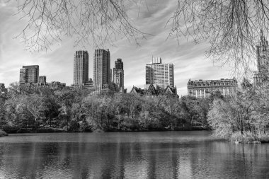 Şehir parkında doğa. Parkta sonbahar manzarası. Sonbahar manzarası. Doğa sonbahar manzarası. Central Park 'ta sonbahar sezonu. Sonbahar mevsiminde mevsimlik şehir manzarası. Doğanın sonbahar güzelliği. Aile gezileri.