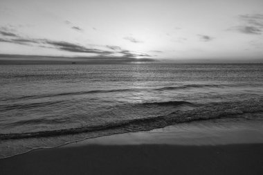 Yaz sahilinde deniz suyuyla güzel bir bali gün batımı..