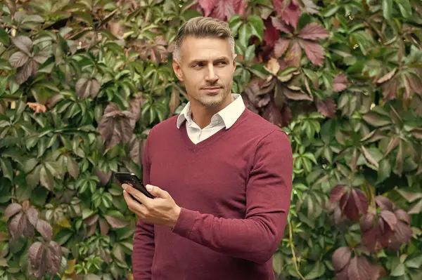 İş adamı dışarıda telefonla mesajlaşıyor. İş iletişimi tarzı. İnternet işi. İşadamı sonbaharda telefon kullanır. Sonbahar adamı telefonu kullanır. Sıradan bir iş adamı..