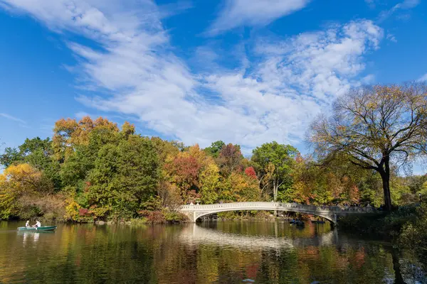 New York City, ABD - 25 Ekim 2023: Central Park 'ta kürek çeken insanlar. Central Park 'ta sonbahar havası var. Sonbahar doğası. New York City Central Park 'ta gölde teknesi var. Sonbahar manzarası.