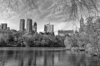 Parkta sonbahar manzarası. Sonbahar manzarası. Doğa sonbahar manzarası. Central Park 'ta sonbahar sezonu. Sonbahar mevsiminde mevsimlik şehir manzarası. Doğanın sonbahar güzelliği. Şehir parkında doğa. Sonbahar ışığı.