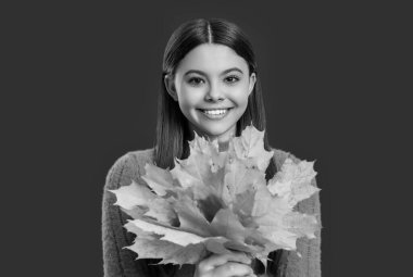 Sonbaharda düşen akçaağaç yaprakları. Sonbahar kızı şık görünüyor. Sonbahar sezonu. Sonbahar sonbahar tarzında bir kız. Kırmızıda izole edilmiş sonbahar modunda yeniyetme modunda. Sonbahar akçaağaç yaprakları. Mevsimsel değişim.