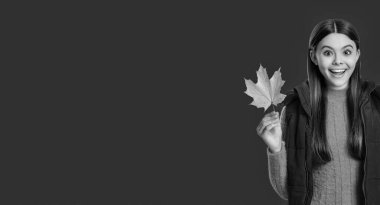 Sonbahar modası. Sonbahar tarzında bir kız. Genç kız akçaağaç yaprağı tutuyor. Sonbahar moda kızı. Moda ve şık genç kız gülümsüyor. Gençler için sonbahar moda tarzı. Düşmüş akçaağaç yaprakları. Reklam..