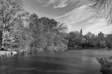 - New York. New York. Sonbaharda Central Park mevsimlik resim sahnesi. Sonbahar sezonu. Sonbahar havuzu. Şehir parkında doğa. Park 'ta sonbahar gölü. Sonbahar manzarası. Doğa sonbahar manzarası. Manzaralı parkta sonbahar sezonu. Manzara Görünümü.