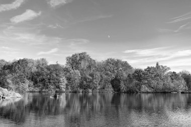 Sonbaharda Central Park 'ta renkli devrilmiş ağaçlar. Sonbahar doğası. New York City Central Park 'ta gölde teknesi var. Sonbahar manzarası. Central Park göletinde kürek çeken insanlar. Sahne teknesi.