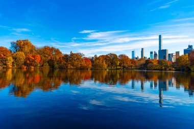 Sonbahar doğa manzarası. Central Park 'ta sonbahar doğası. Mevsimlik sonbahar manzarası. Sonbahar ağacını ve göleti New York 'a park et. Manzaralı düşüş. Sonbaharda Central Park 'ta. Göletli sonbahar manzarası. Sonbahar Ormanı.