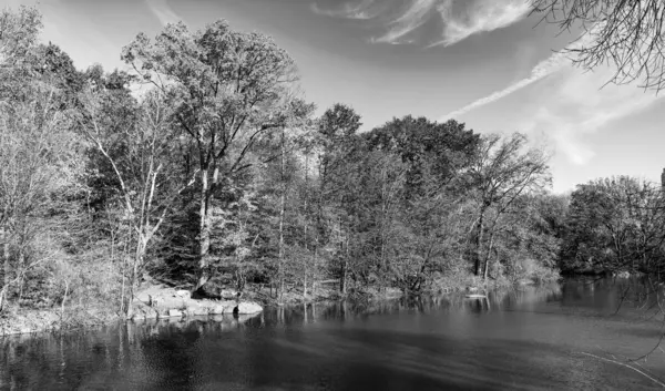 - New York. New York. Central Park 'ta. Sonbahar manzarası. Doğa sonbahar manzarası. Manzaralı parkta sonbahar sezonu. Sonbaharda sezonluk resimli sahneler. Sonbahar sezonu. Sonbahar havuzu. Şehir parkında doğa. Park 'a düşen göl.