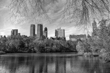 Sonbahar manzarası. Doğa sonbahar manzarası. Central Park 'ta sonbahar sezonu. Sonbahar mevsiminde mevsimlik şehir manzarası. Doğanın sonbahar güzelliği. Şehir parkında doğa. Parkta sonbahar manzarası. Piknik noktaları.