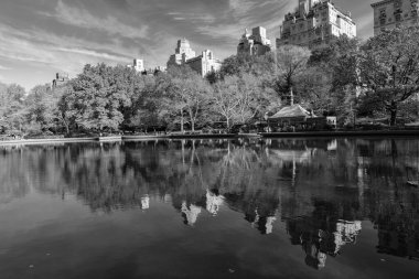 New York City, ABD - 20 Kasım 2023: Sonbahar sezonunda Central Park 'ın güzel şehir manzarası ve göldeki yansımasıyla sonbahar şehri manzarası.