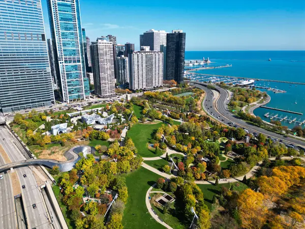 Chicago şehir merkezi parkı ve ufuk çizgisi. Autumn City Park manzarası. Sonbahar şehri parkı olan şehir manzarası. Chicago şehir manzarası gökyüzü mimarisi. Gökdelen ve manzara. Chicago şehir manzarası. Şehir silüeti.