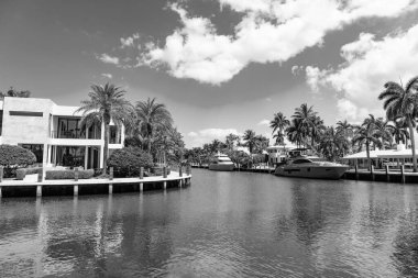 Limanda teknesi ve palmiyesi olan bir deniz kenarı varış yeri. Sahil limanı yaz için mükemmel bir yer. Varış noktası. Deniz kenarındaki yaz mevsiminde yatı olan bir liman. Yaz maceraları.