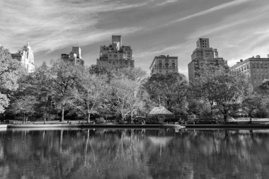 New York City, ABD - 20 Kasım 2023: Güzel şehir manzarası ve doğa ile sonbahar şehri manzarası. New York şehir manzarası.