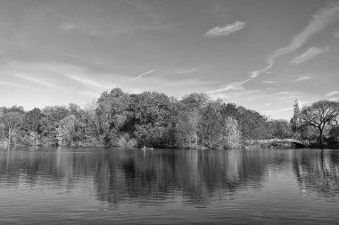 Sonbahar doğası. New York City Central Park 'ta gölde teknesi var. Sonbahar manzarası. Central Park göletinde kürek çeken insanlar. Sonbaharda Central Park 'ta renkli devrilmiş ağaçlar. Central Park su yolu.
