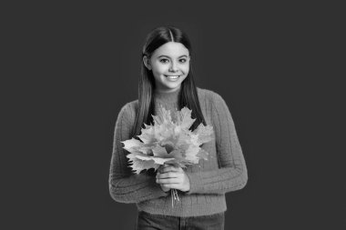 Sonbahar yaprakları ve kırmızıda izole edilmiş mutlu genç kız. Genç kız sonbahar akçaağaç yaprağını tutuyor. Düşen yapraklar. Sonbahar tarzı akçaağaç yapraklı bir kız. Sonbahar modası. Sonbahar sezonu. Yaprak çöpü..