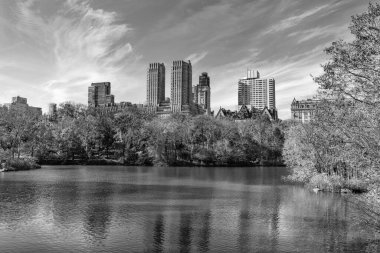 Central Park 'ta sonbahar sezonu. Sonbahar mevsiminde mevsimlik şehir manzarası. Doğanın sonbahar güzelliği. Şehir parkında doğa. Parkta sonbahar manzarası. Sonbahar manzarası. Doğa sonbahar manzarası. Çamurlu alanlar.