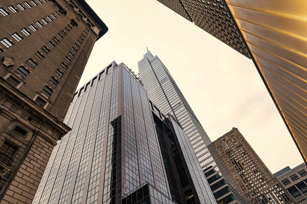 Office building in business district with modern skyscraper architecture in metropolis city downtown.