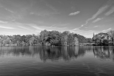 New York sonbaharı. New York City Central Park 'ta gölde teknesi var. Sonbahar manzarası. Central Park göletinde kürek çeken insanlar. Sonbaharda Central Park 'ta renkli devrilmiş ağaçlar. Sonbahar doğası. NYC 'de kürek çekmek.
