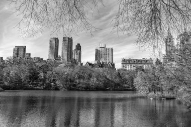 New York sonbaharı. Central Park 'ta sonbahar sezonu. Sonbahar mevsiminde mevsimlik şehir manzarası. - New York. New York. Central Park 'ta. Doğanın sonbahar güzelliği. Şehir parkında doğa. Parkta sonbahar manzarası. Sonbahar manzarası. Doğa sonbahar manzarası. Tarihi eser..