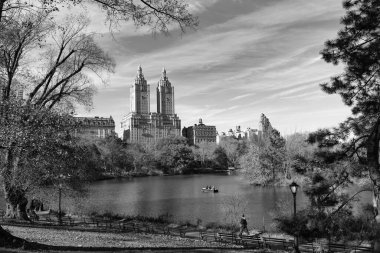 New York sonbaharı. Central Park 'ta sonbahar sezonu. Sonbaharda ya da sonbahar mevsiminde mevsimlik şehir manzarası. - New York. New York. Central Park 'ta. Doğanın sonbahar güzelliği. Şehir parkında doğa. Parkta sonbahar manzarası. Sonbahar manzarası. Doğa sonbahar resimsi manzarası