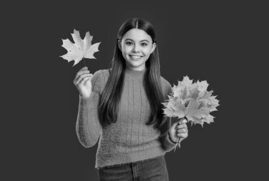 Sonbahar kızı şık görünüyor. Sonbahar sezonu. Sonbahar sonbahar tarzında bir kız. Kırmızıda izole edilmiş sonbahar modunda yeniyetme modunda. Sonbahar akçaağaç yaprakları. Sonbaharda düşen akçaağaç yaprakları. Düşen yapraklar.