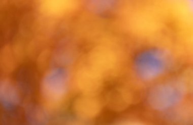Görüntü arkaplanı. Parlak sonbahar geçmişi ve kimsesi yok. Odaklanmamış bulanıklık sonbahar rengi. Sonbahar sezonu. Bulanık doğal fotoğraf. Bulanık sonbahar arka planı. Odaklanmamış sonbahar rengi.