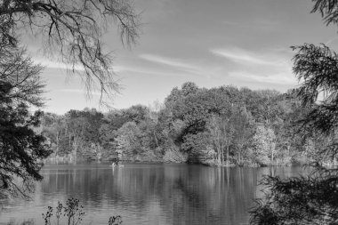 New York sonbaharı. Central Park göletinde kürek çeken insanlar. Sonbaharda Central Park 'ta renkli devrilmiş ağaçlar. Sonbahar doğası. New York City Central Park 'ta gölde teknesi var. Sonbahar manzarası. Huzurlu kürek çekme.