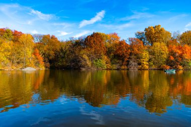 Sonbahar doğa manzarası. Central Park 'ta sonbahar doğası. Mevsimlik sonbahar manzarası. Sonbahar göletine park teknesi, New York. Manzaralı düşüş. Sonbaharda Central Park 'ta. Sonbahar manzarası. Göldeki tekne..
