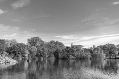 New York sonbaharı. New York City Central Park 'ta gölde teknesi var. Sonbahar manzarası. Central Park göletinde kürek çeken insanlar. Sonbaharda Central Park 'ta renkli devrilmiş ağaçlar. Sonbahar doğası. Şehir simgesi.
