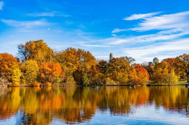 Central Park güneşli sonbahar gününde renk değiştiriyor. Sonbahar manzarası. Sonbahar doğası. Central Park 'ta küçük bir gölde kayık. Sonbaharda Central Park Gölü 'nde insanların kürek çektiği bir yer. Bir tekne kirala..