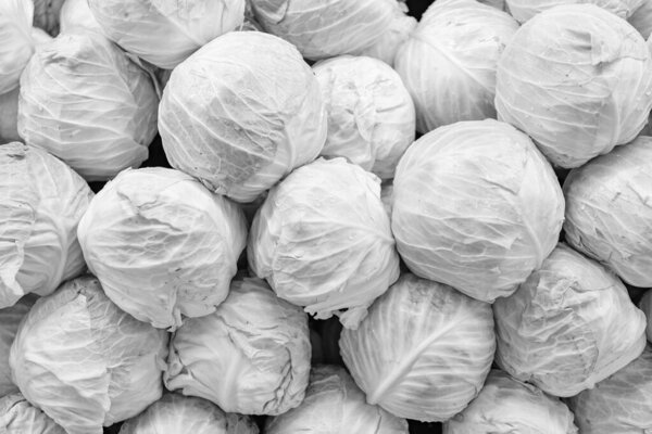 Зеленый капустный фон. Зеленый овощ на продовольственном рынке. Органическая еда. Урожай и земледелие. Органическая овощная капуста. Фон из органической капусты. Эко-овощи.